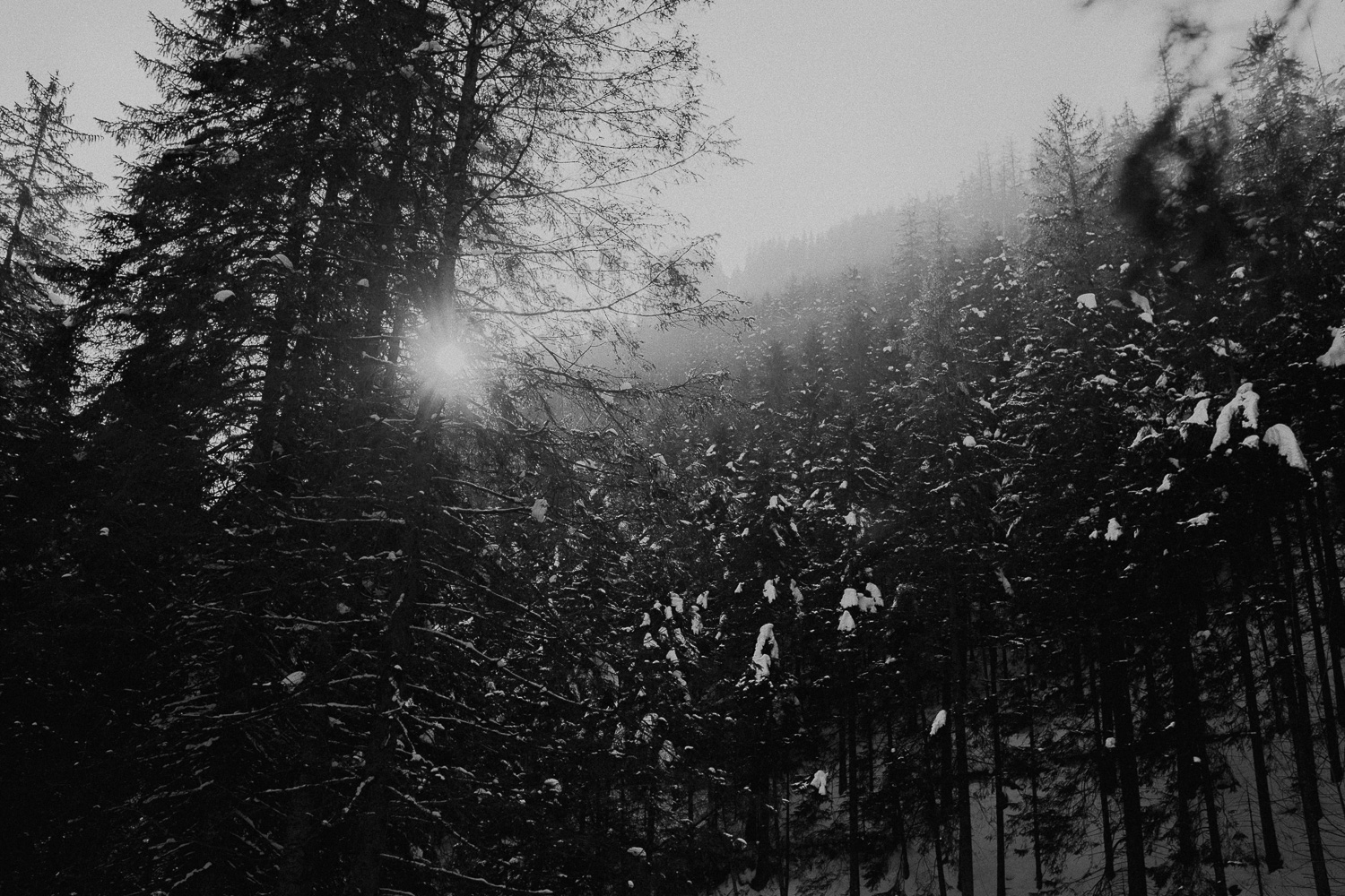 Destination-Wedding-Photographer-couple-in-mountains-1-26.jpg