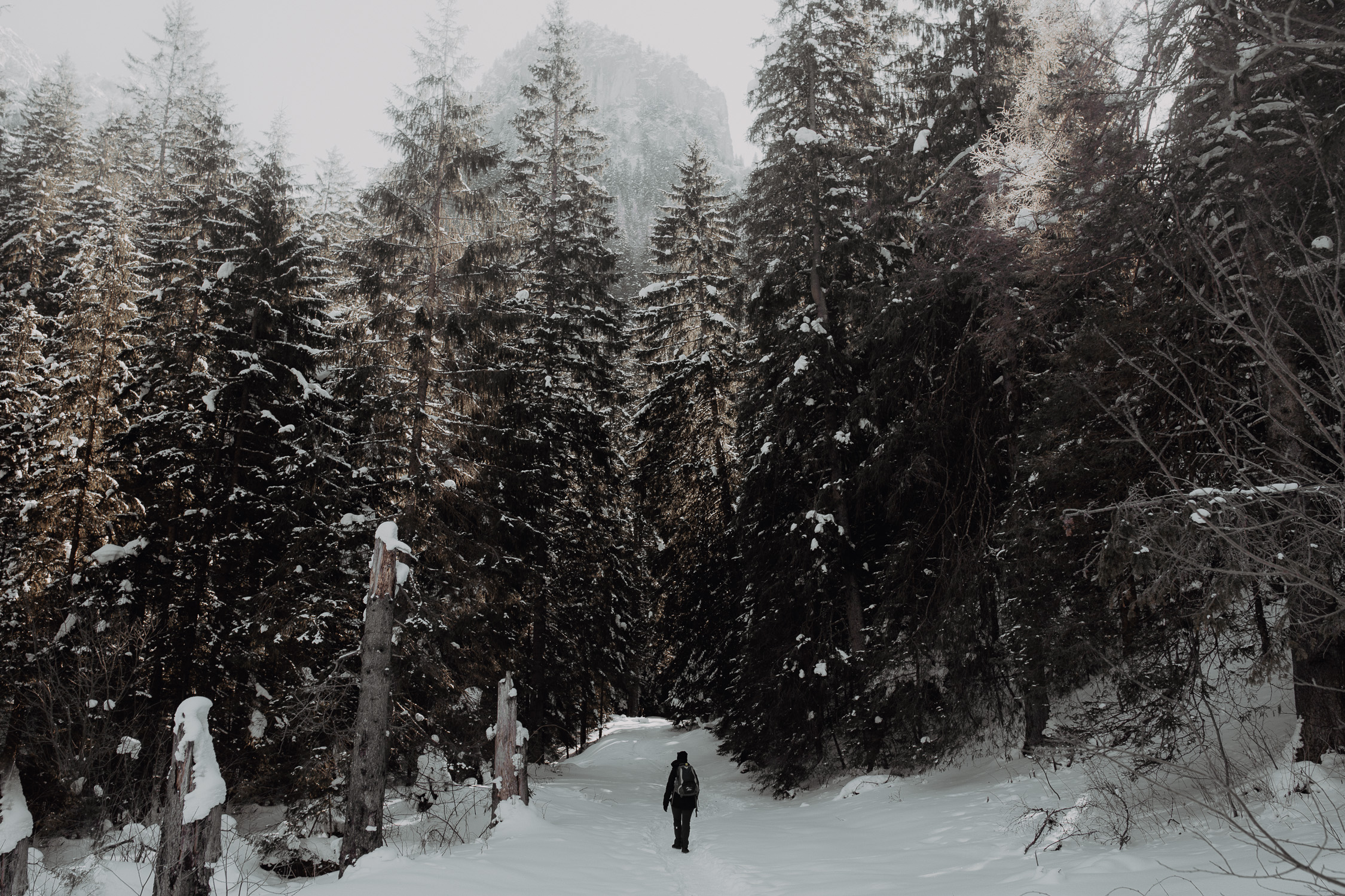Destination-Wedding-Photographer-couple-in-mountains-1-52.jpg