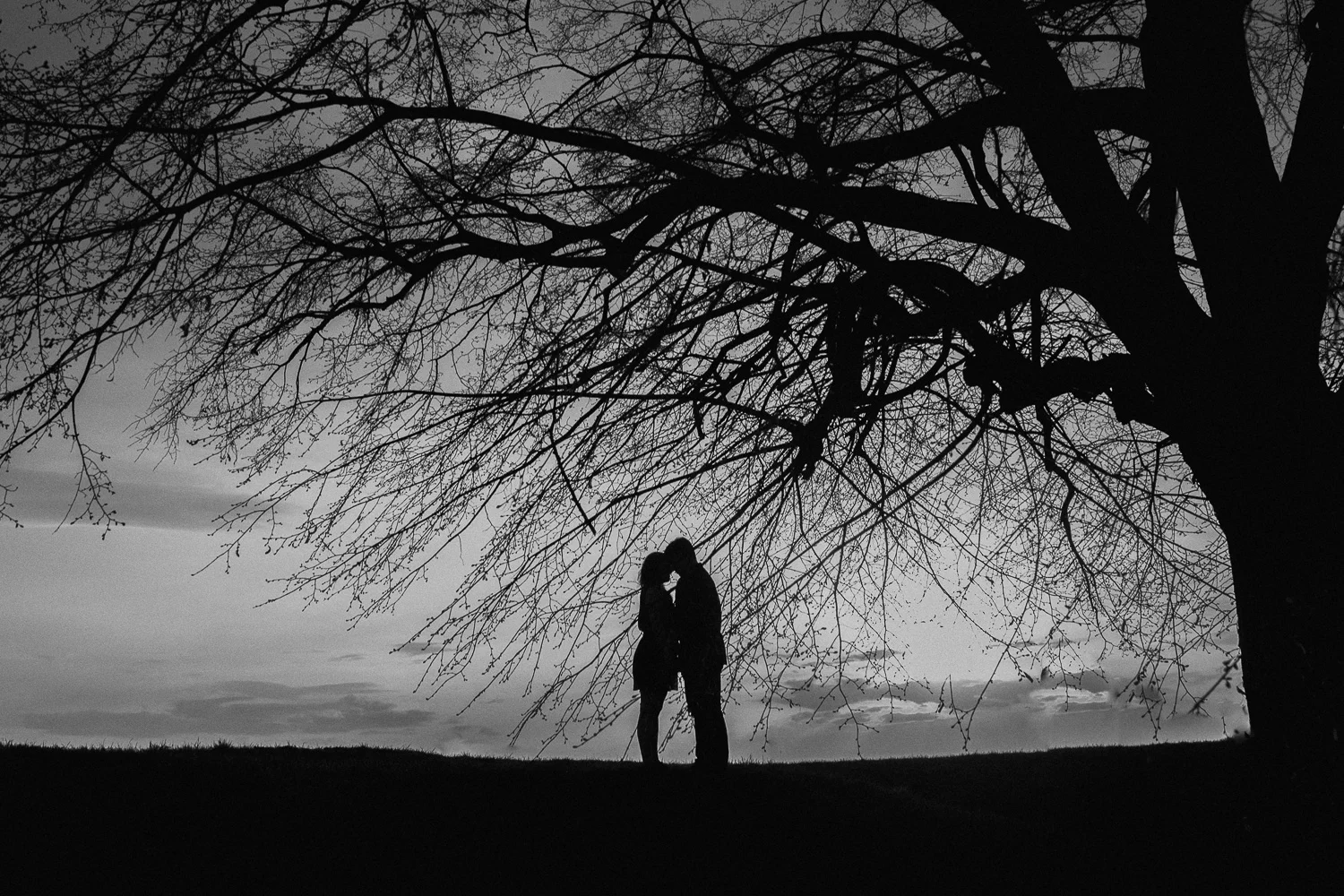 Engagement-photoshoot-in-forest-on-mound-52.jpg