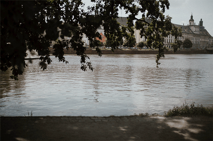 GIF-WROC-5.gif
