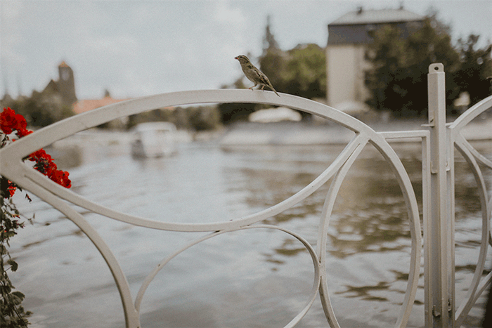 GIF-WROC-4.gif