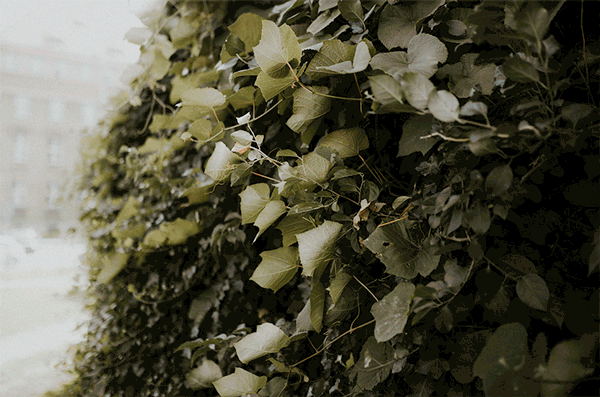 GIF-WROC-8.gif