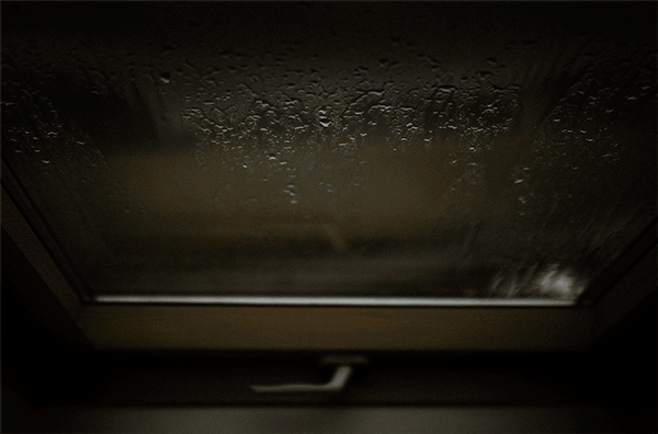 GIF-JG-2.gif
