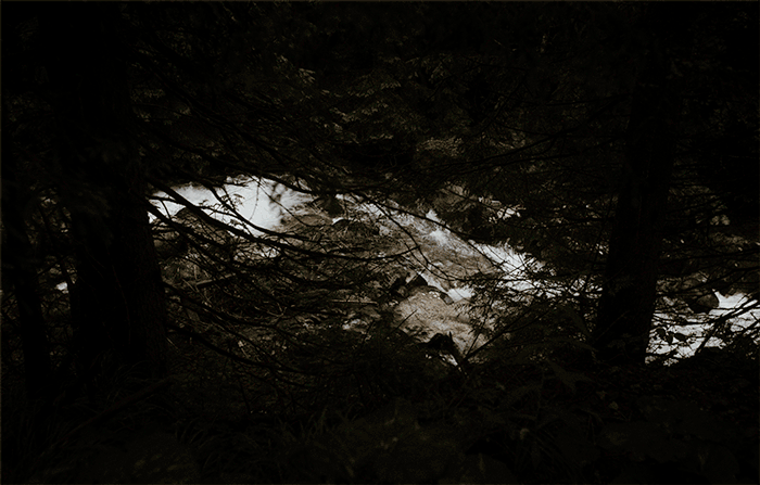 GIF-JG-21.gif