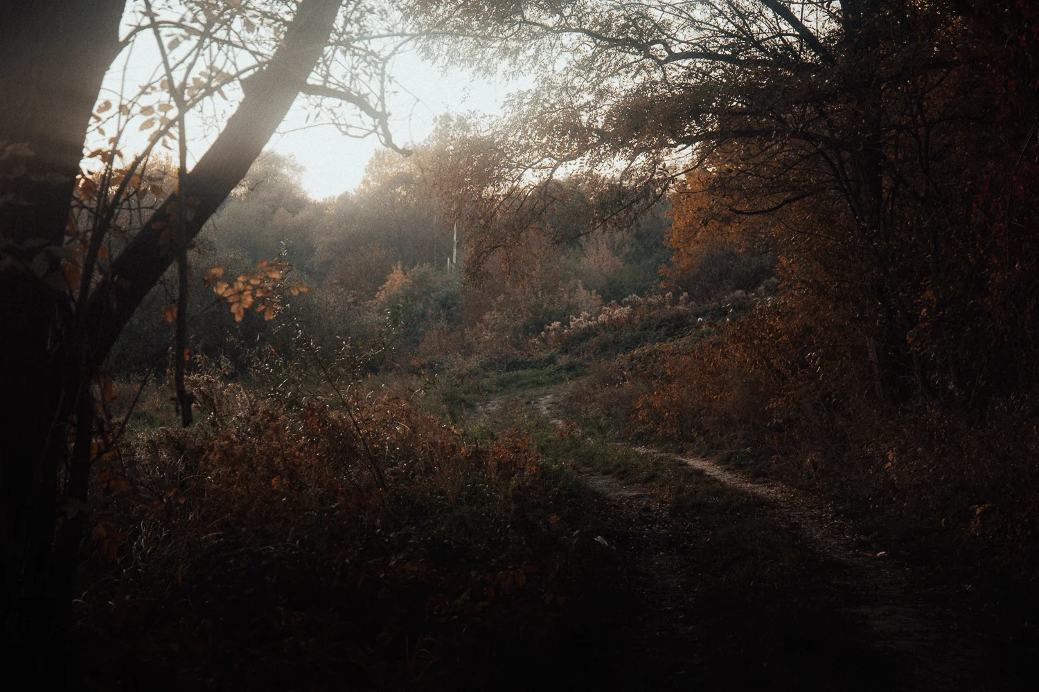 Fotograf-ślubny-Kraków-MB-2.jpg