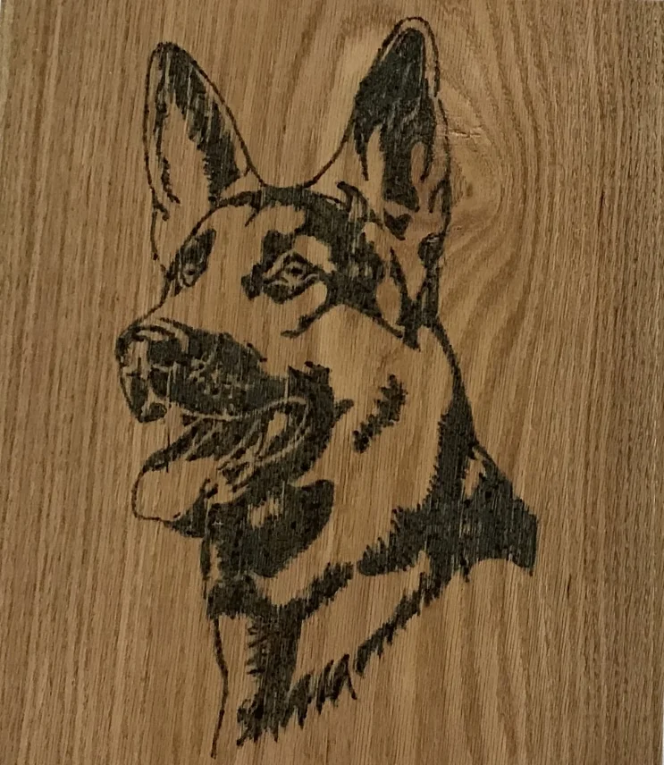 Animal Engraving.JPG