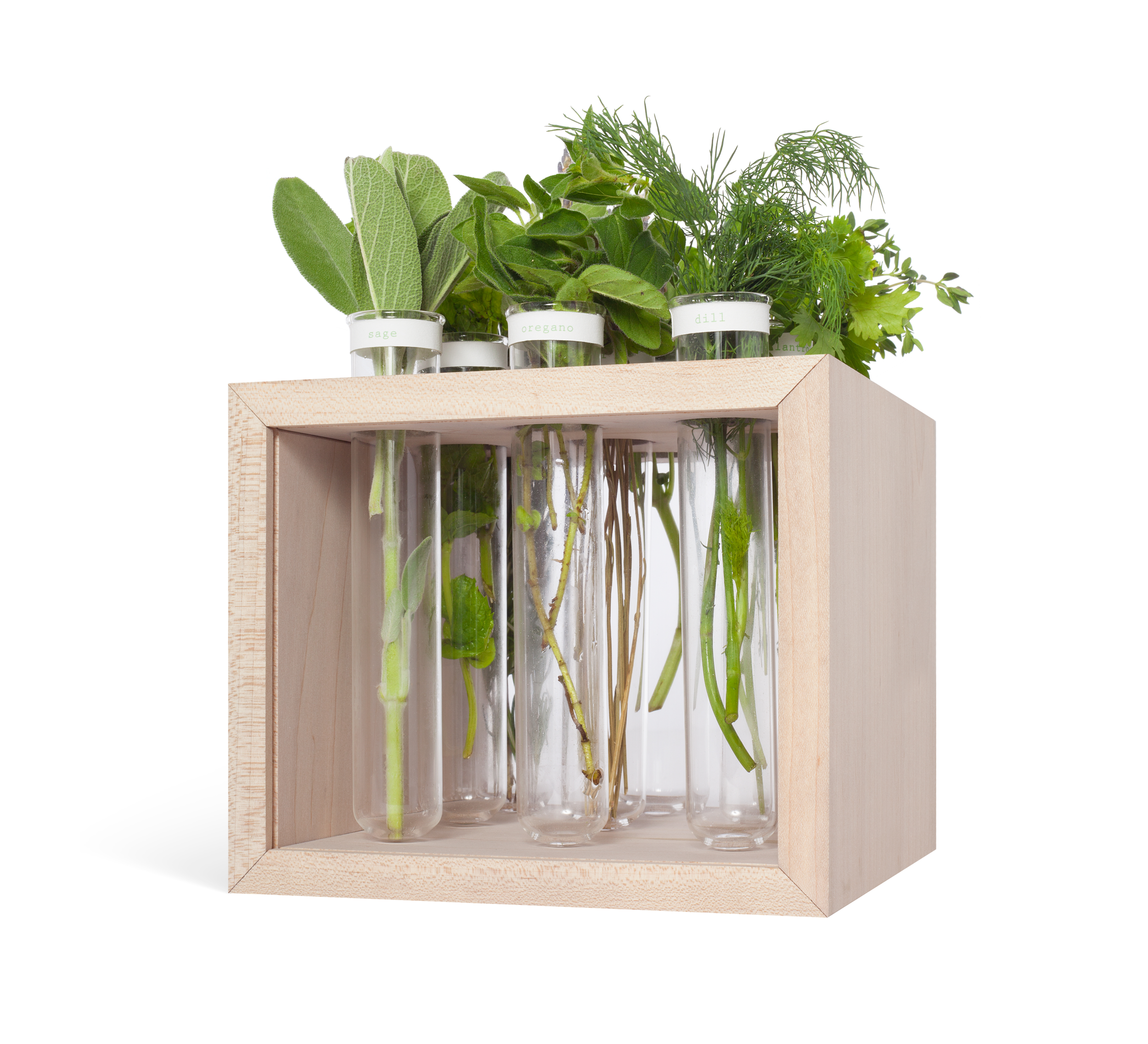 LaurenBernstein_Apotheca_RestaurantDesign_Planter_HankRichardson_Sept2016_cover.png
