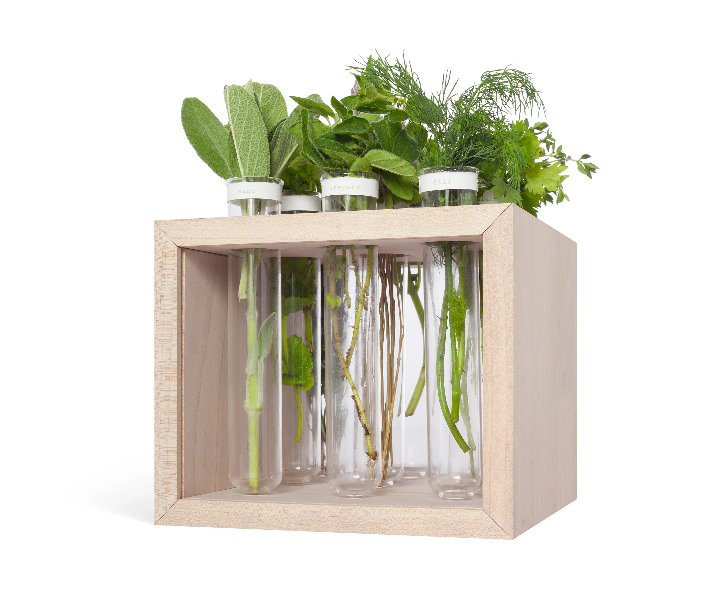LaurenBernstein_Apotheca_RestaurantDesign_Planter_HankRichardson_Sept2016_2_NewCrop.jpg