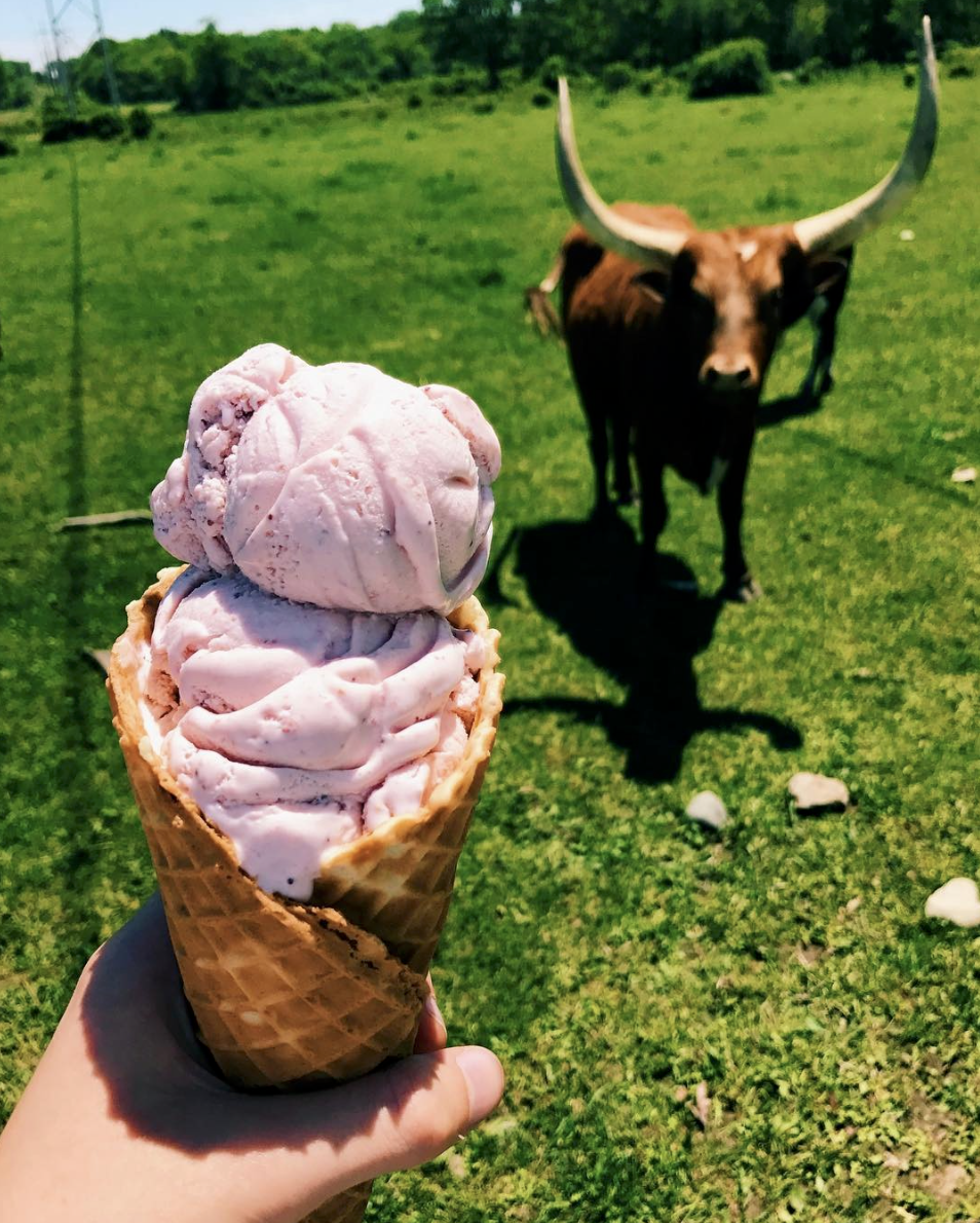 Flavors — The Ice Cream Barn