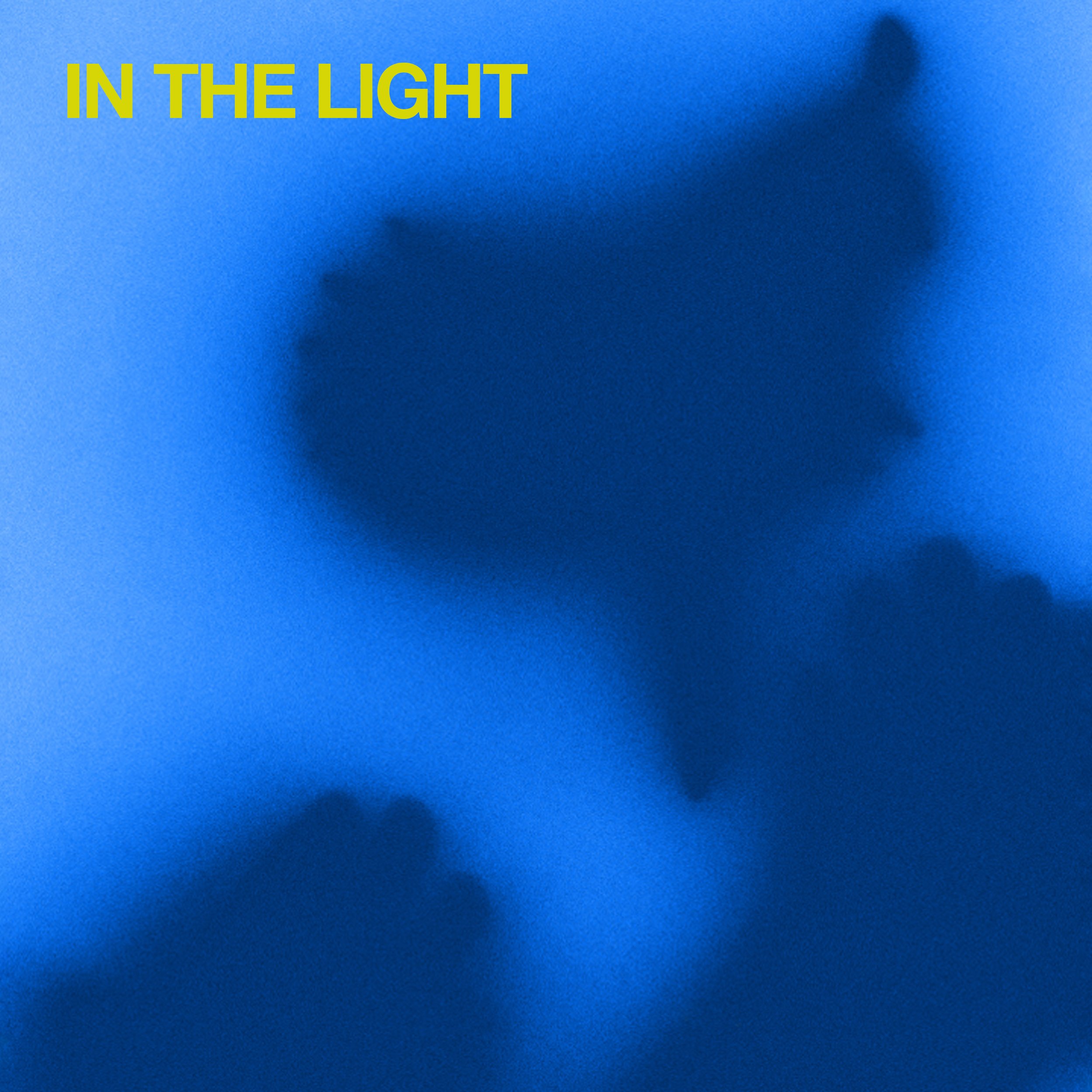 In The Light Cover Final.jpg