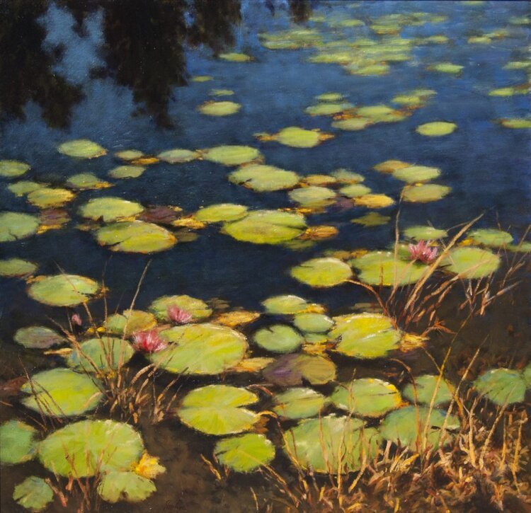 Lily Pond • 36" x 36" • Oil