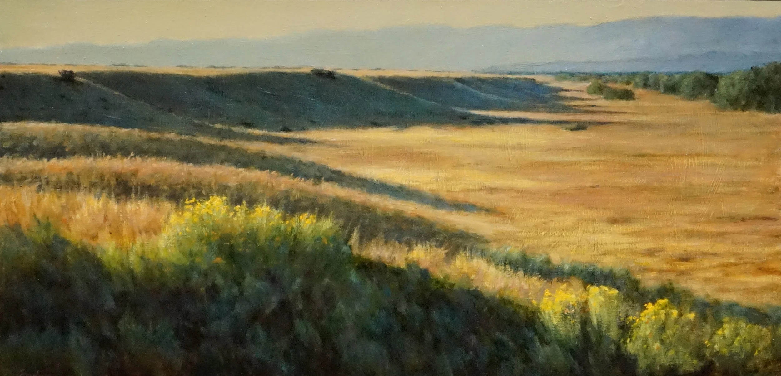 Mesa Shadows • 20" x 40" • Oil