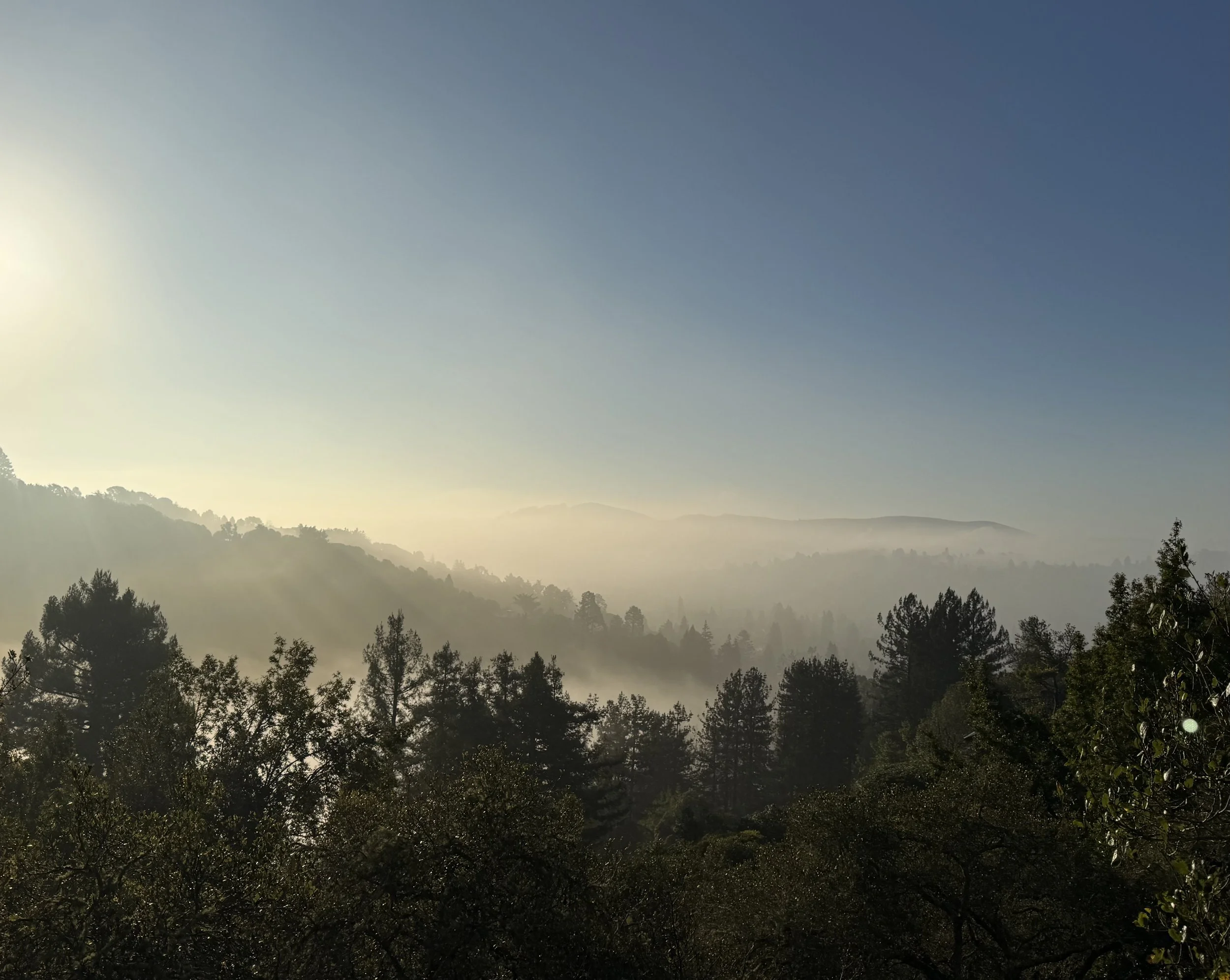 CULTIVATE - A YEAR OF ATTENTIVE GROWTH