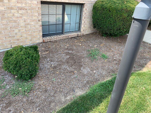 The soil is too close to the underside of this window making this area and the area around it vulnerable to termite infestation.