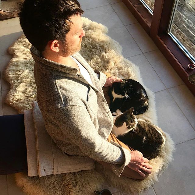 Meditation still proving challenging? Try two cats instead of one.

I&rsquo;m really going to miss these two. They were refugees from the #tubbsfire that blasted thru Sonoma county last October. We&rsquo;ve been fostering them while their family rebu