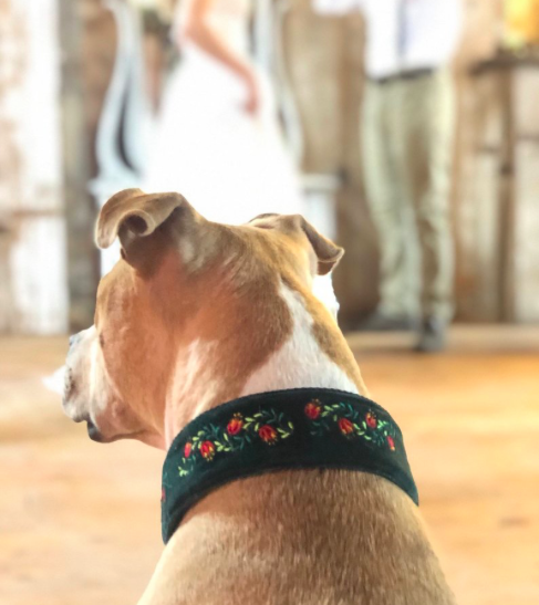 Screen Shot 2019-03-06 at 1.17.50 PM.png