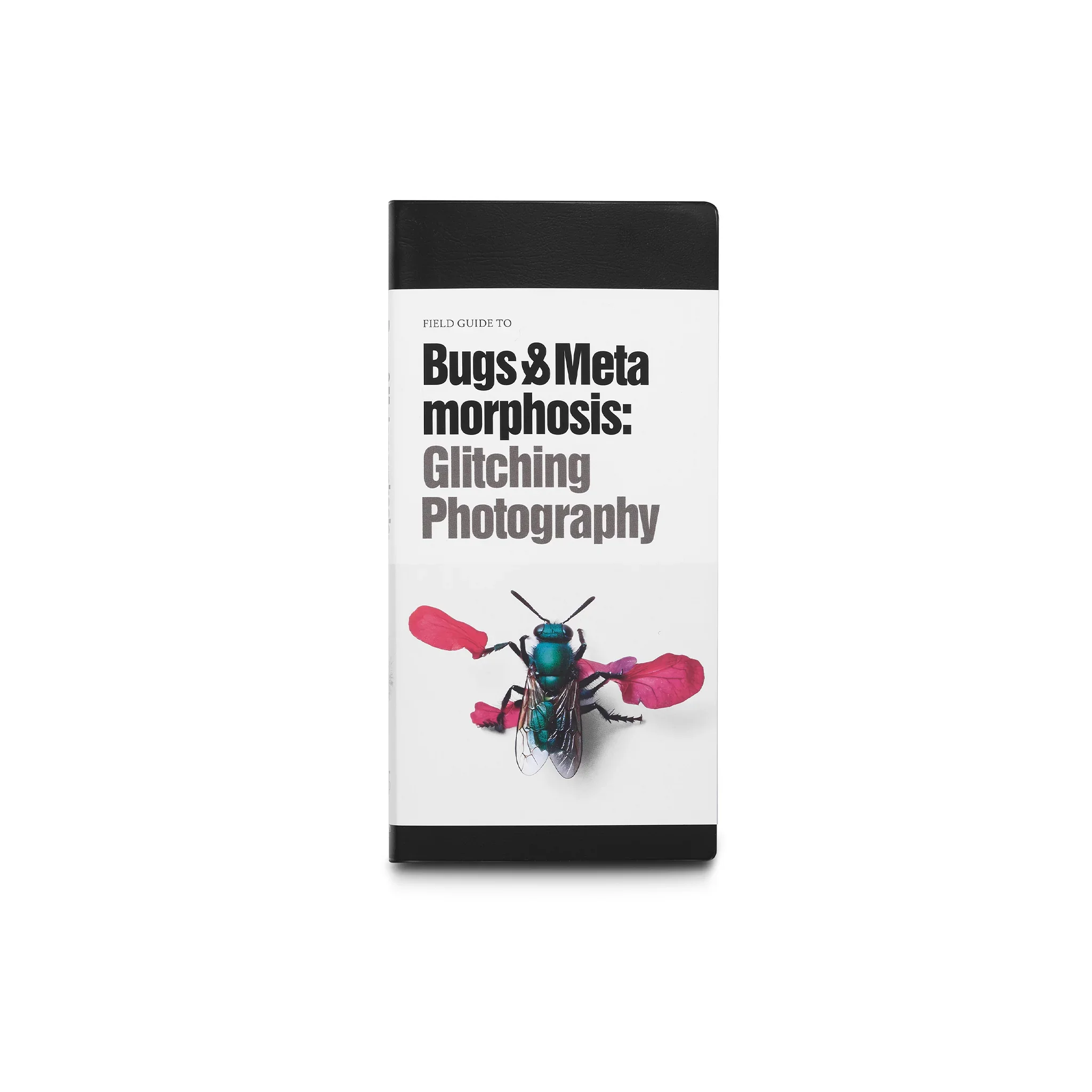 bugs-filed-guide.webp