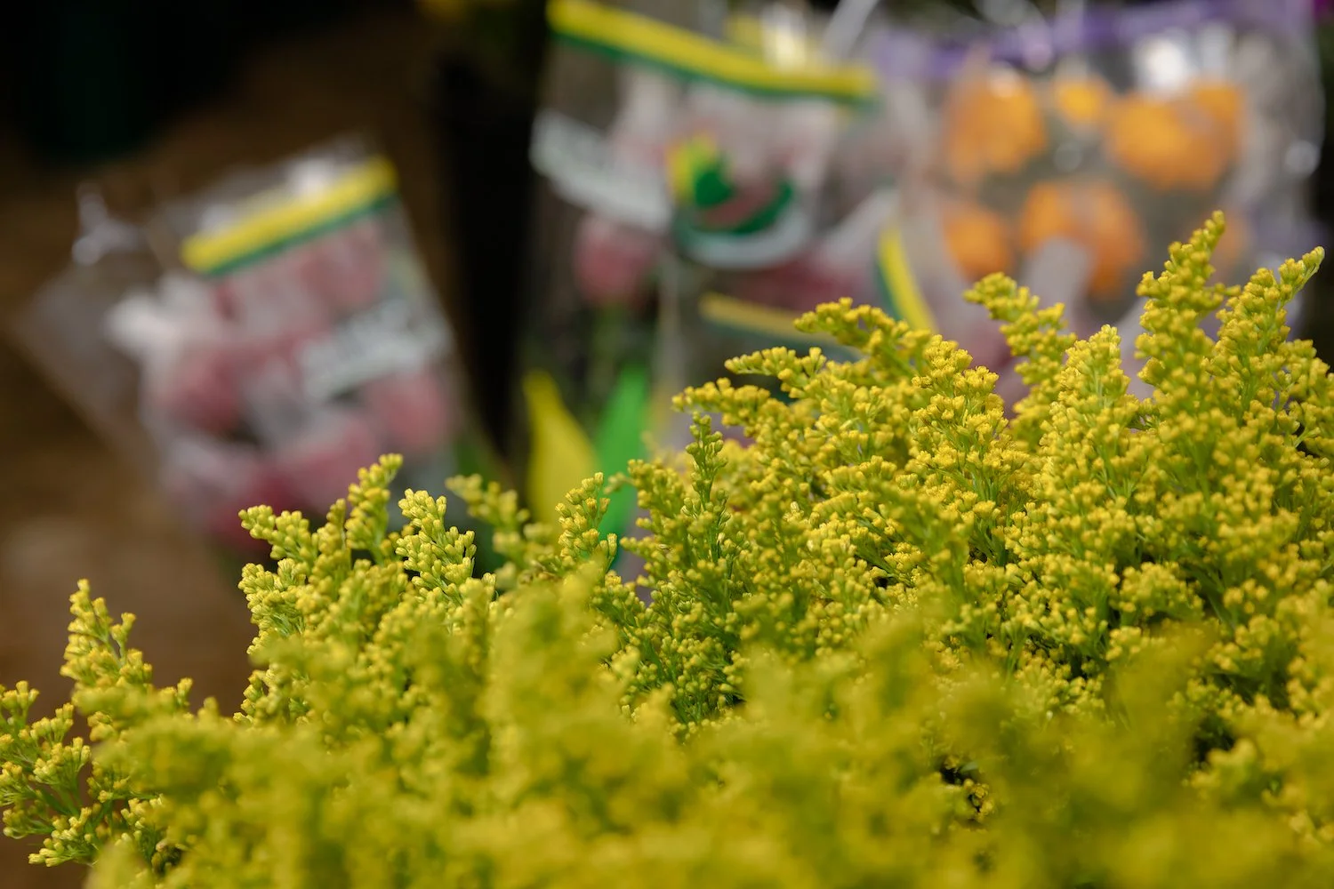 Oklahoma Flower Market