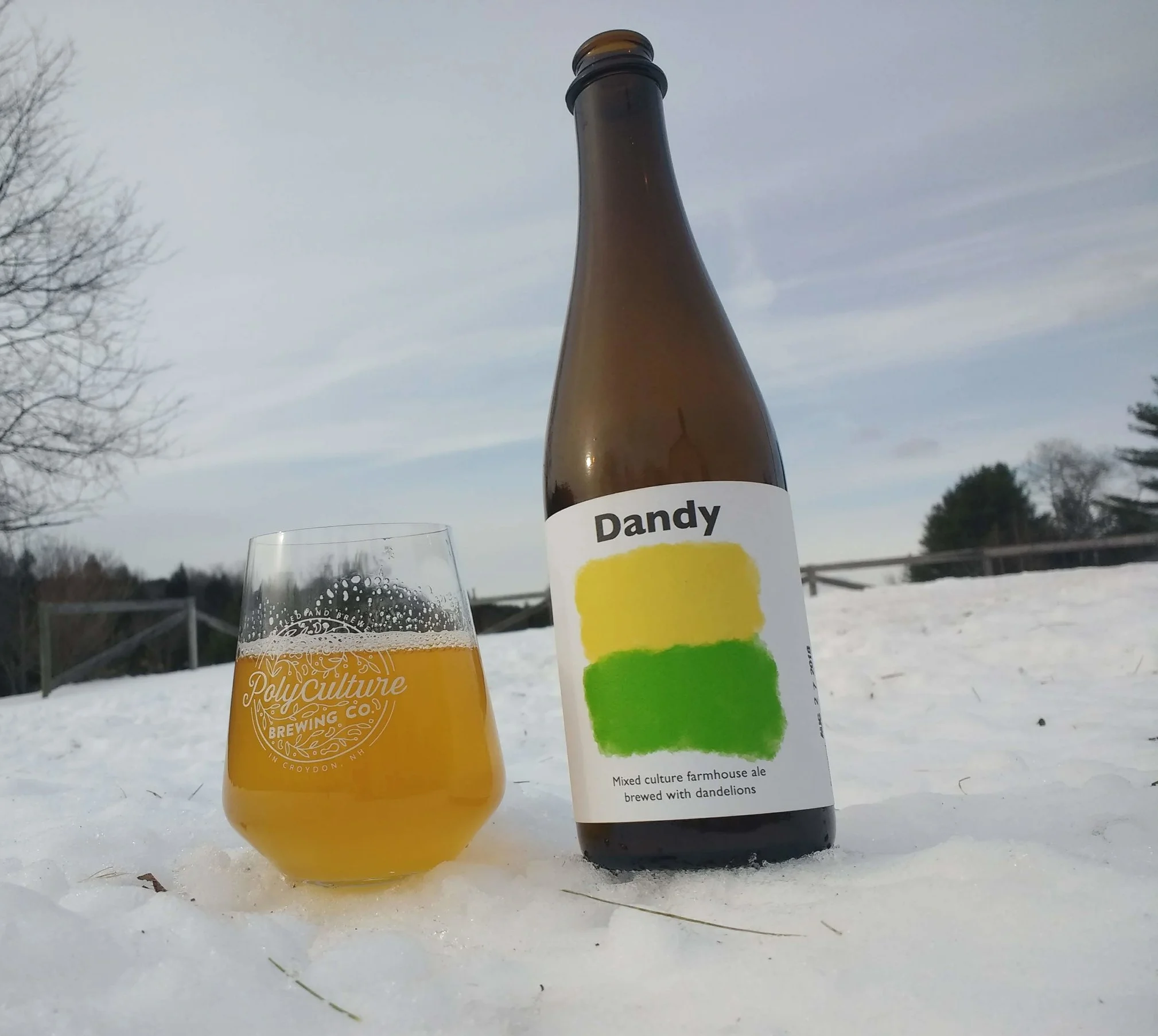 Dandy_20181118_135144099.jpg