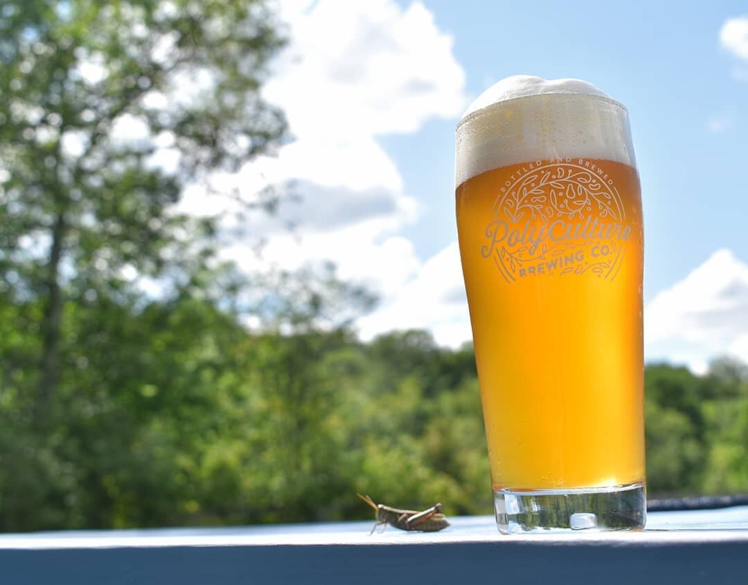 Have you been to the beer garden yet? Be like this guy and stop by! We're open Saturday from 12-5pm with a great lineup, including the last keg of 'Jet Lag' pilsner. Don't miss out!
.
.
.
#NHbeertrail #NHbrewers #drinkNH #KeepNHbrewing #yournextbeeri