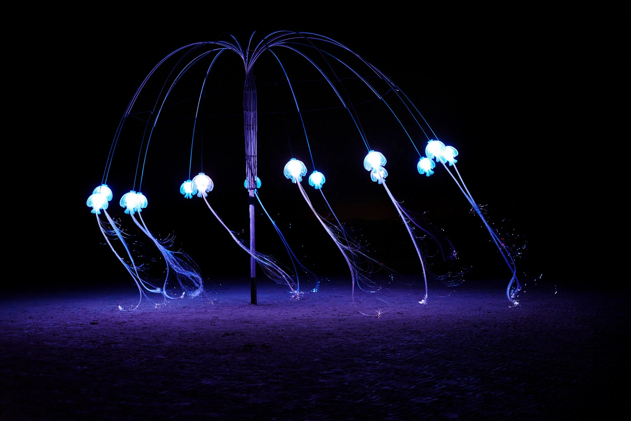 Jelly_004.jpg