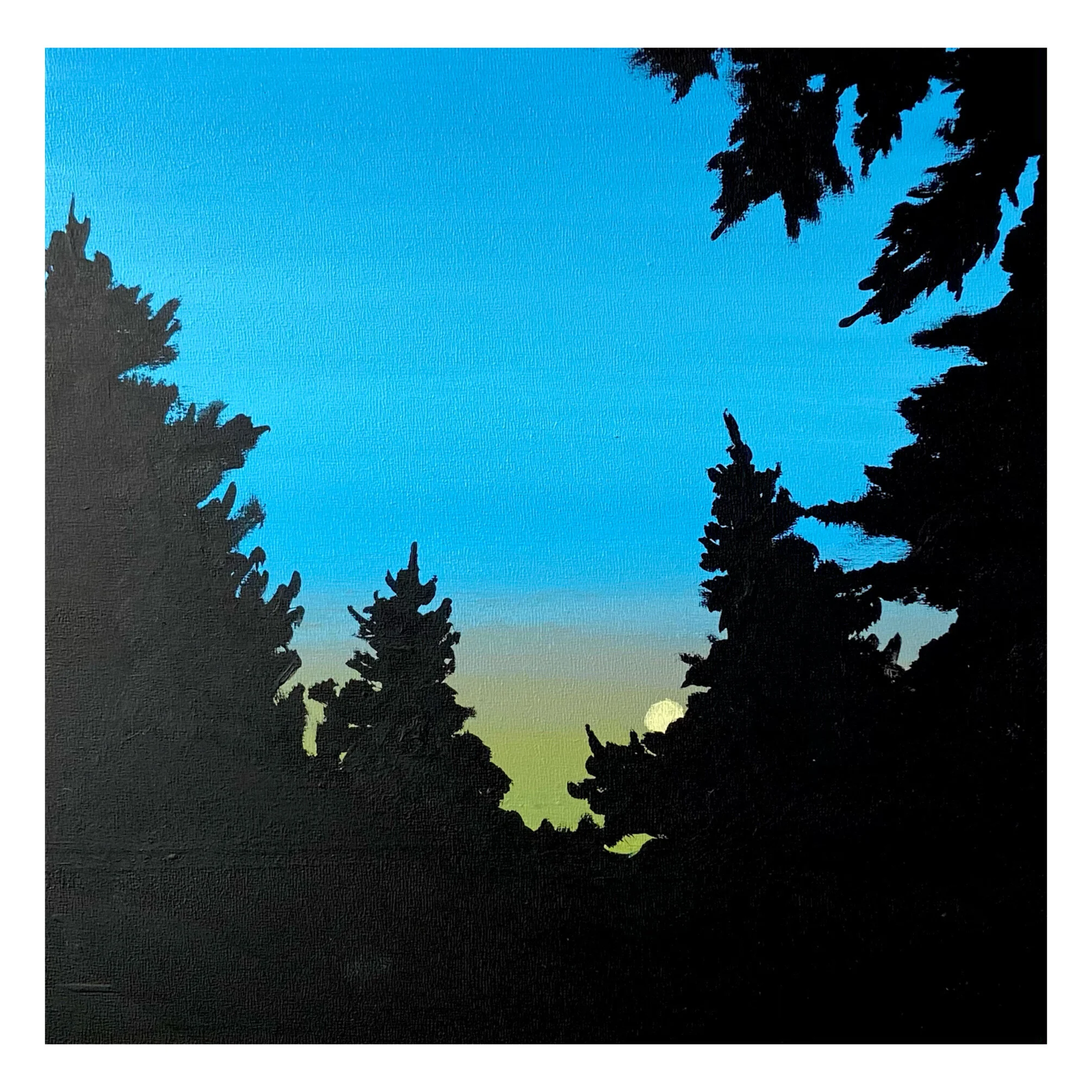 🔴 Abstract Landscape Study (Acadia National Park, ME)