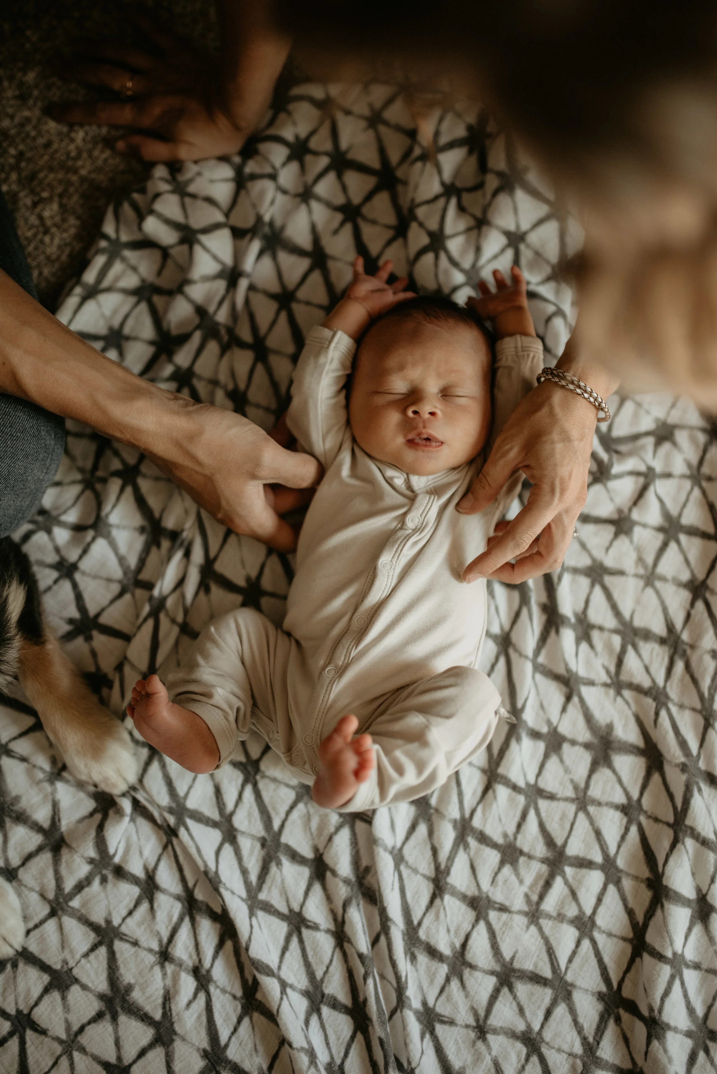 bodnar newborn-76.jpg