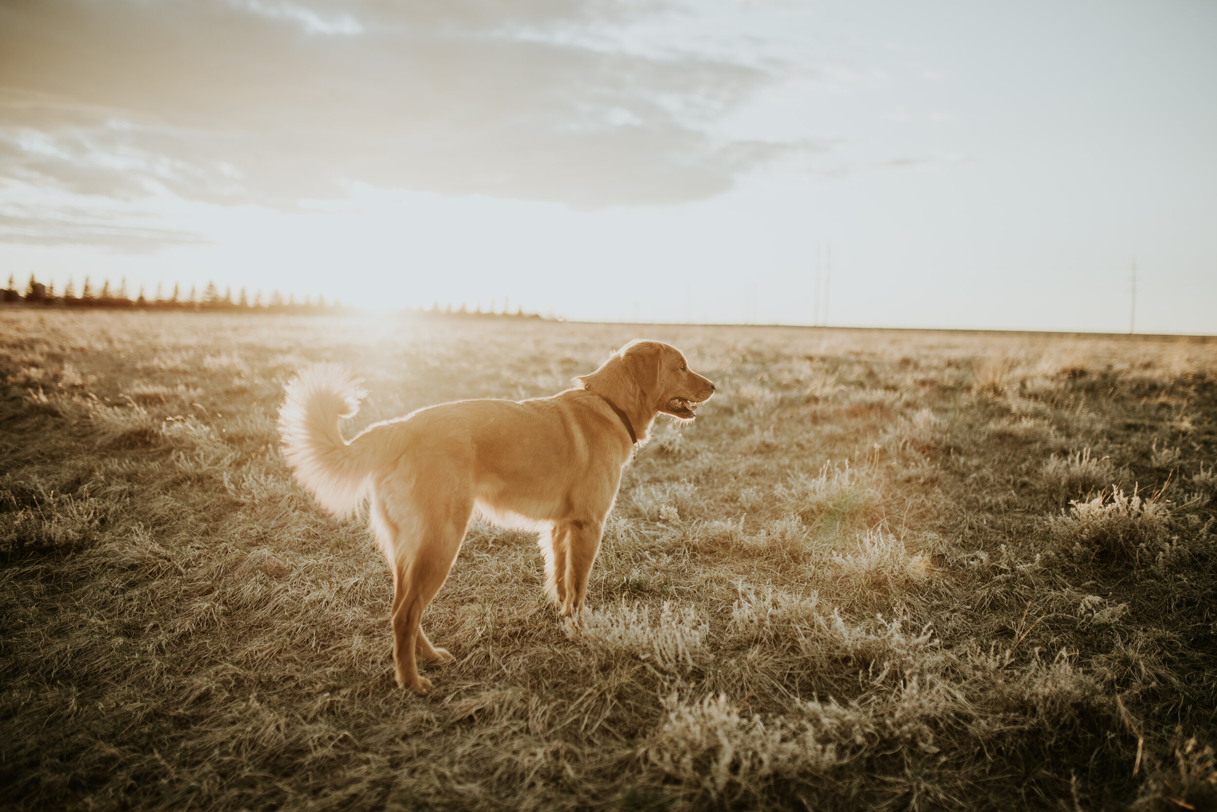 sayler + ash - engagement (215 of 222).jpg