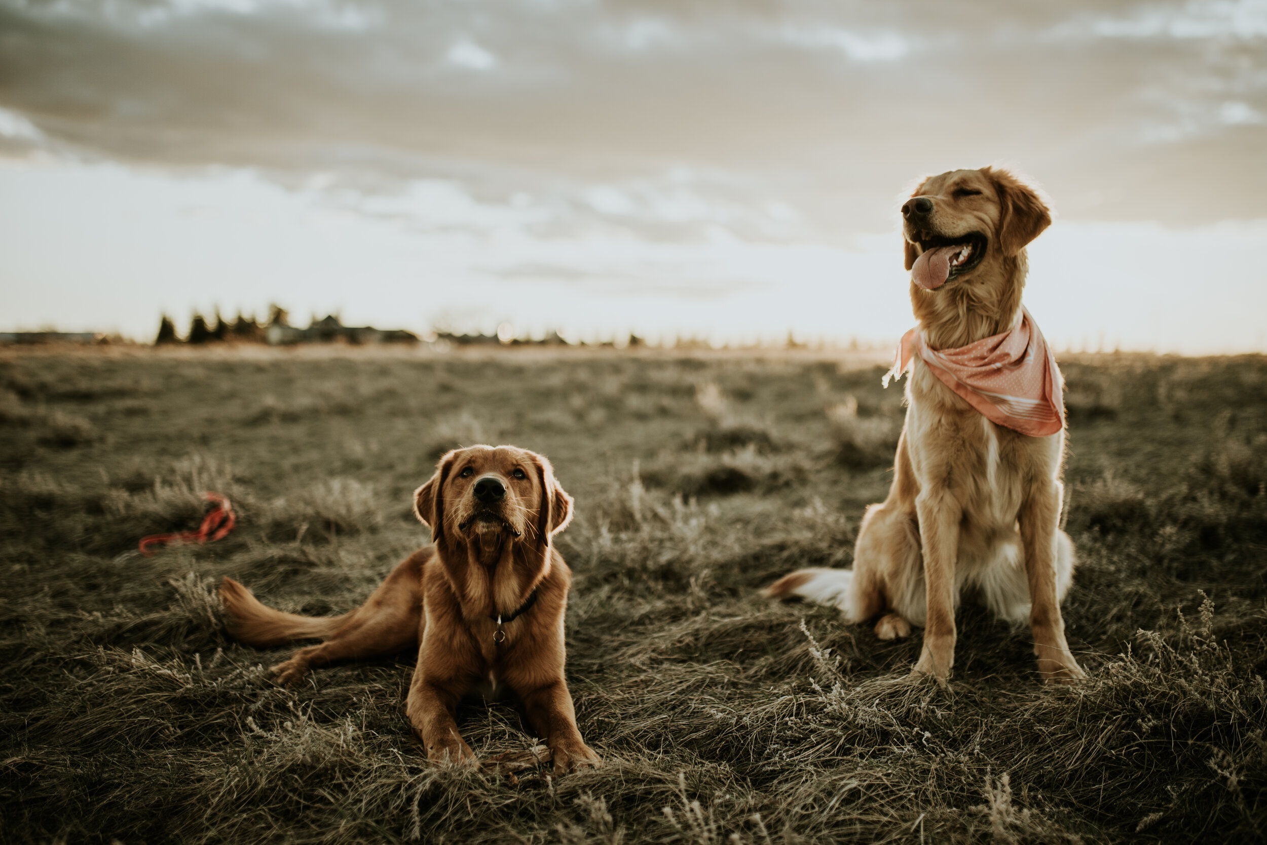 sayler + ash - engagement (220 of 222).jpg