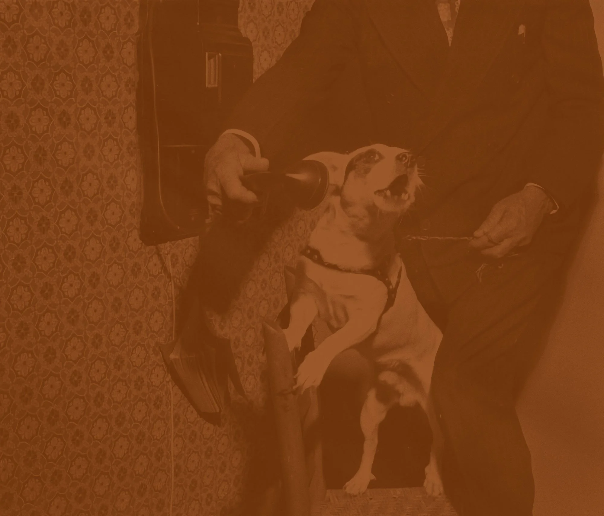 Person sitting on a vintage-style patterned carpet with a dog. The person is dressed in a dark suit with a white shirt and is holding a leash with the dog, which is sitting and looking up at them. The scene appears to be indoors, with furniture and a small table visible in the background.