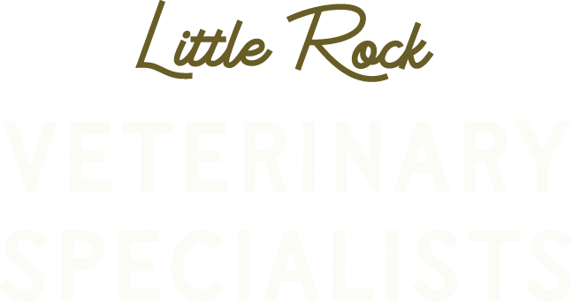 Little Rock Veterinary Specialists | Central Arkansas Specialty Medicine for Pets
