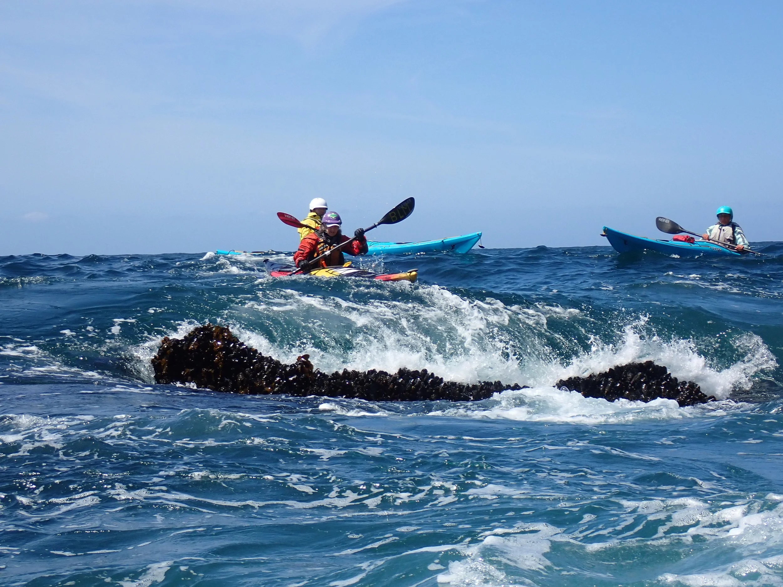 New - Baja Lite (Trip Full contact me for waitlist)