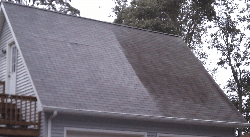 partial-cleaned-roof.png