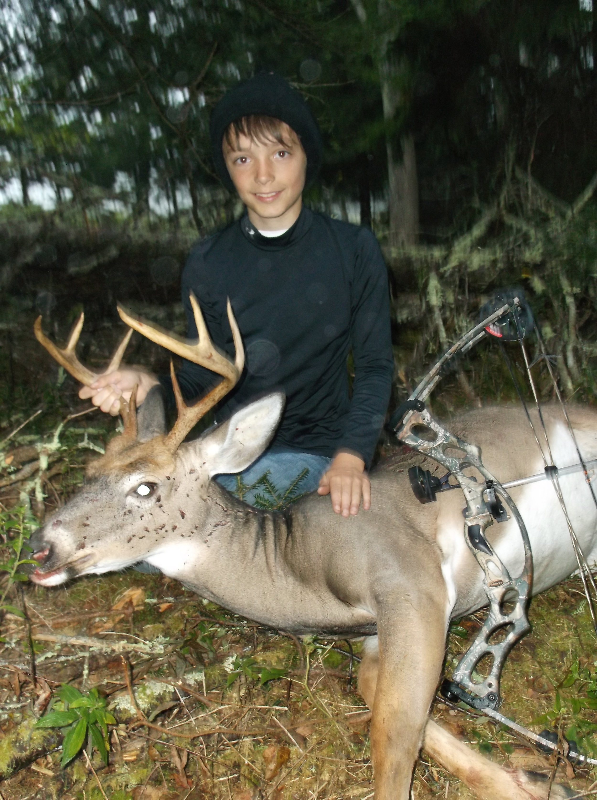 White tail deer, youth bow