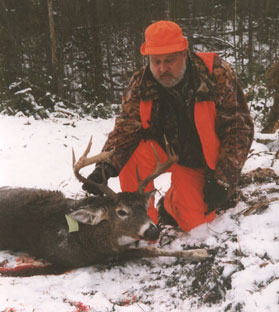 Maine white tail deer