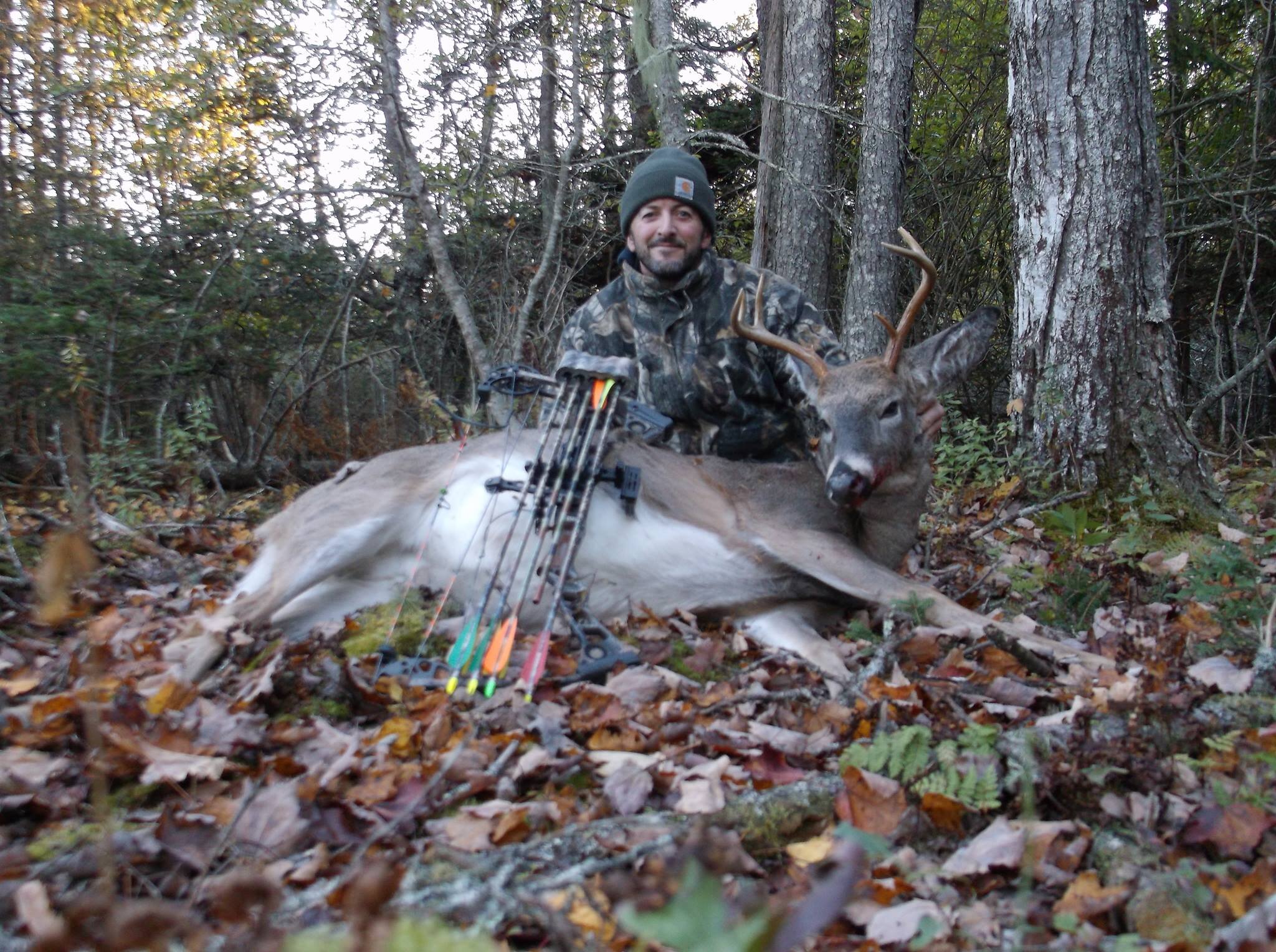 archery buck 2.jpg