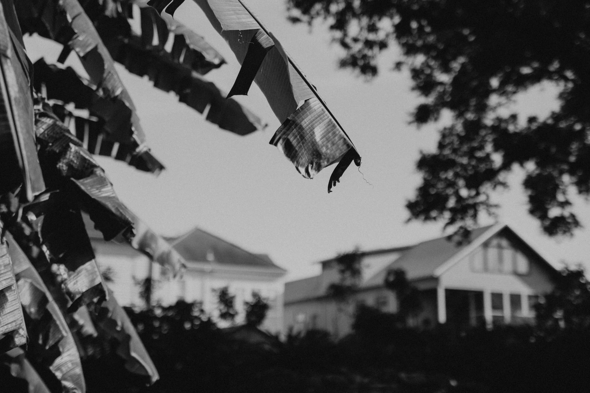 old ursuline convent wedding-1.jpg