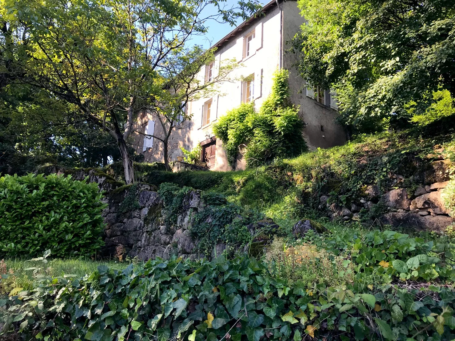   “We loved collecting and eating the garden produce of figs, walnuts and herbs and even saw a red squirrel foraging! It was all that we expected and much more.”  