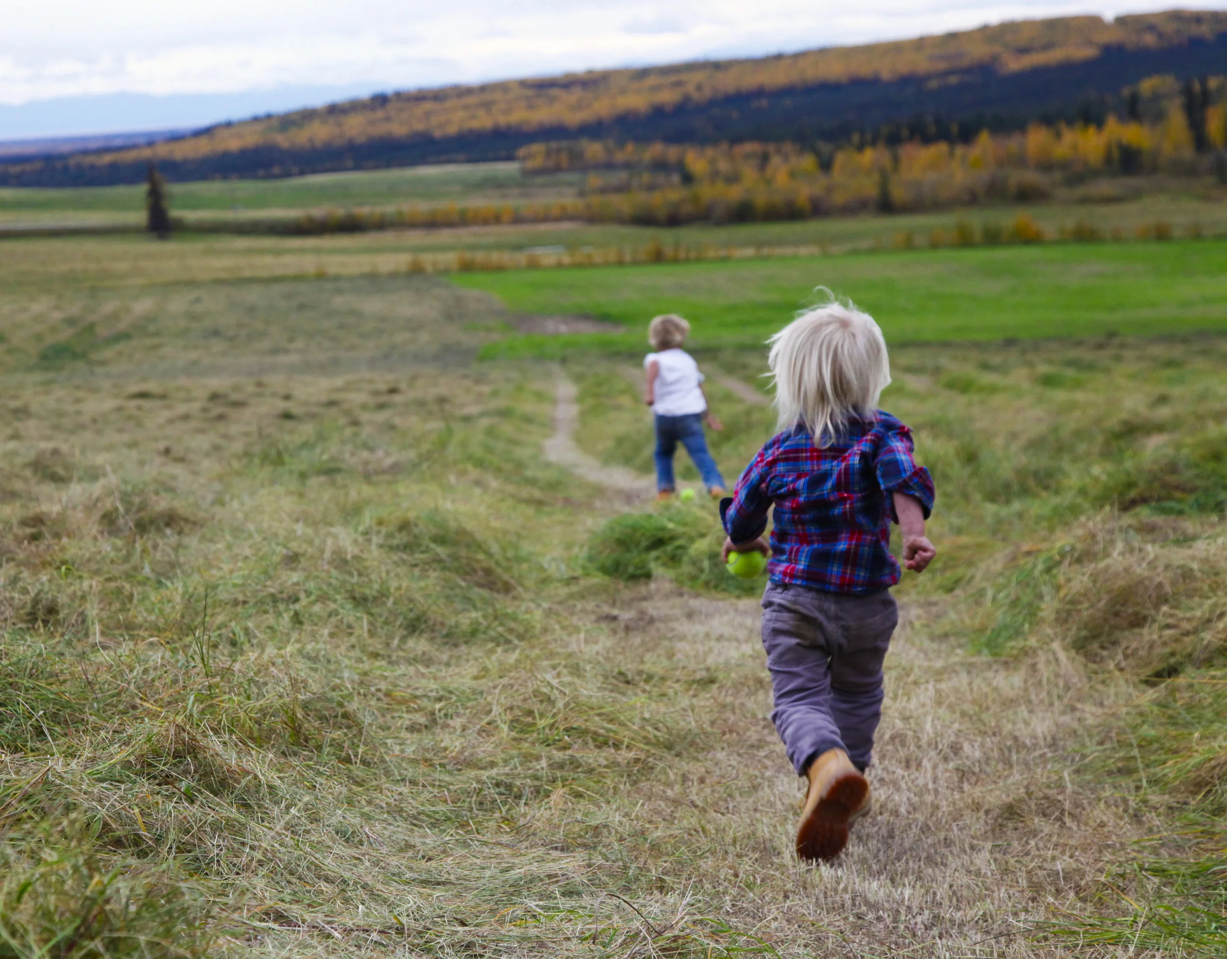 2017_FALL_Hay_Field_098_1.jpg