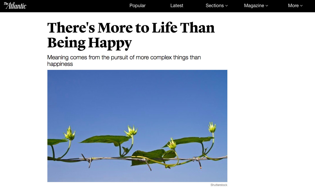 There's More to Life Than Being Happy
