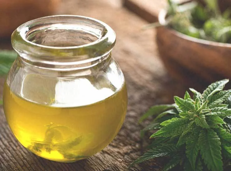 What is CBD Oil?