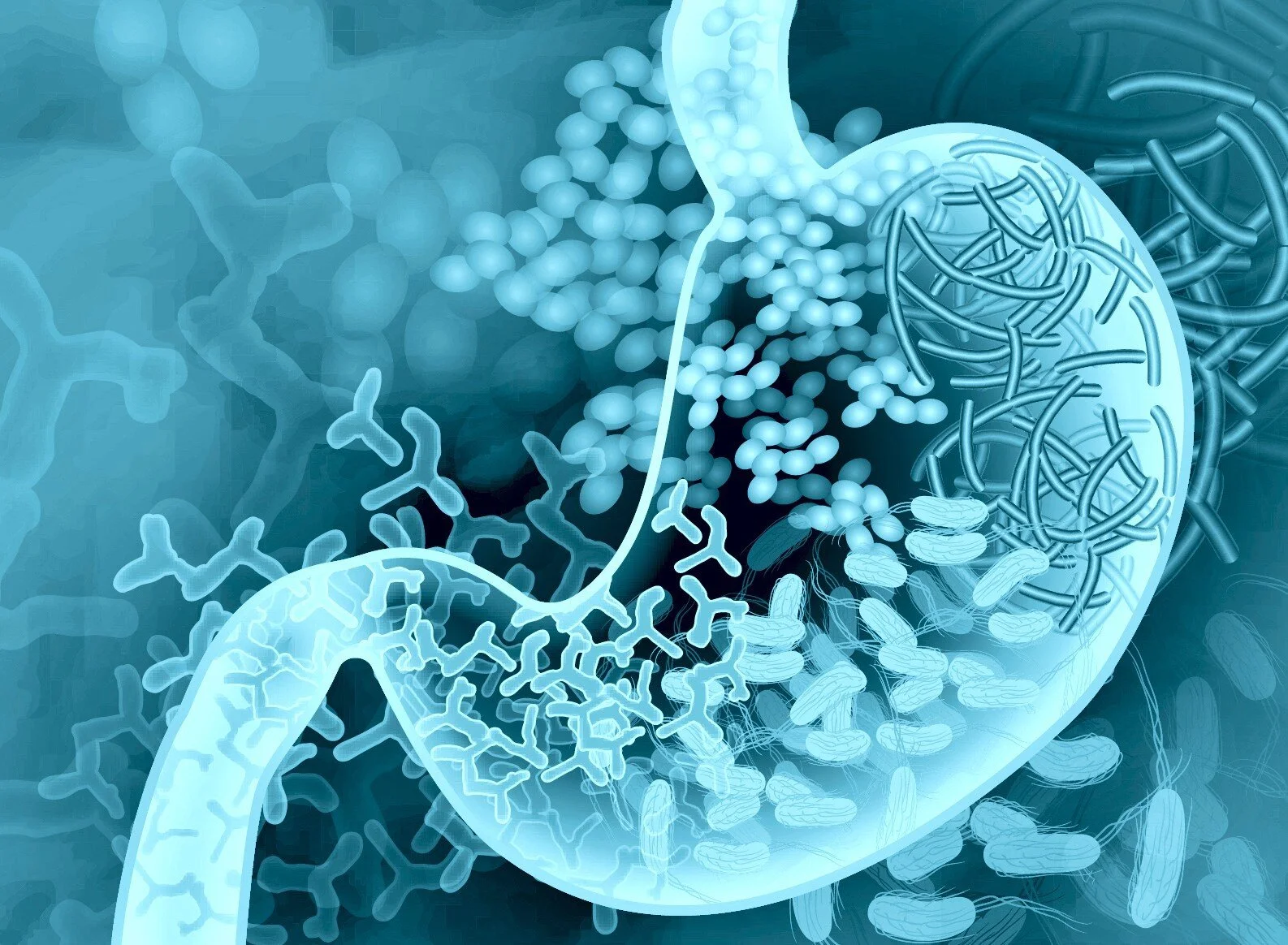 What is the Gut Microbiome ?&nbsp;