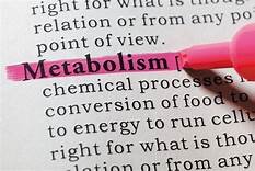 New Metabolic Research: New Findings with Metabolism, Age and Weight-loss 