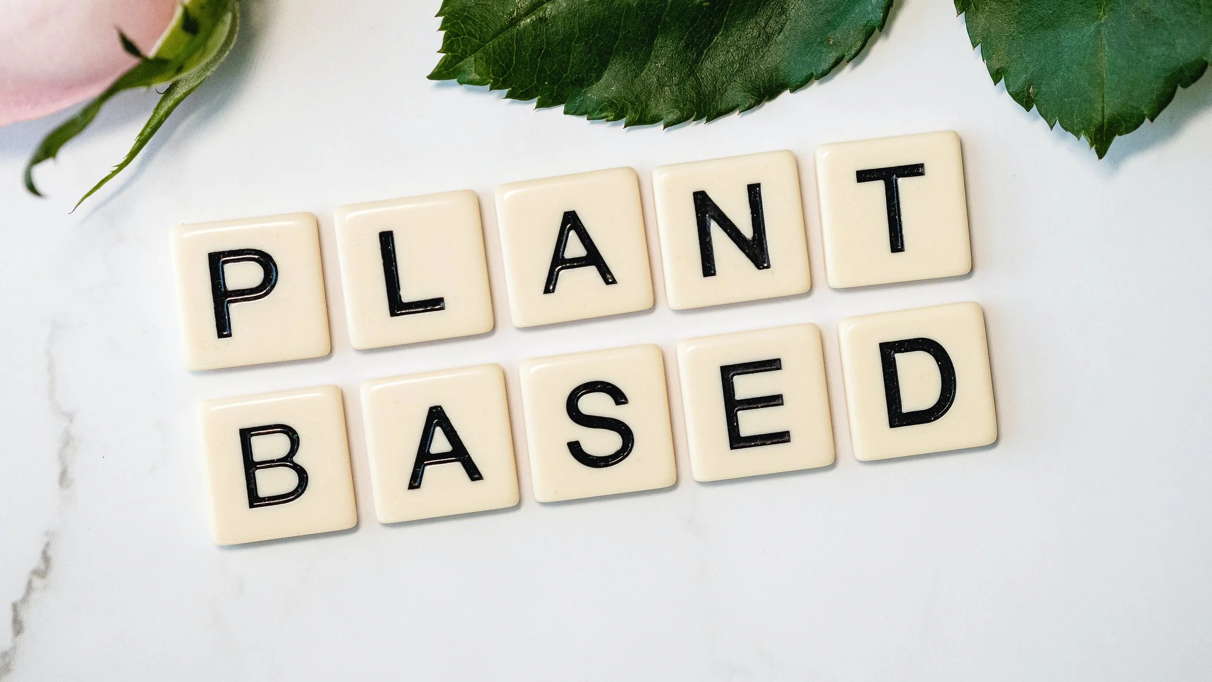 Plant-Based Diets - Do They Help In Weight Loss?