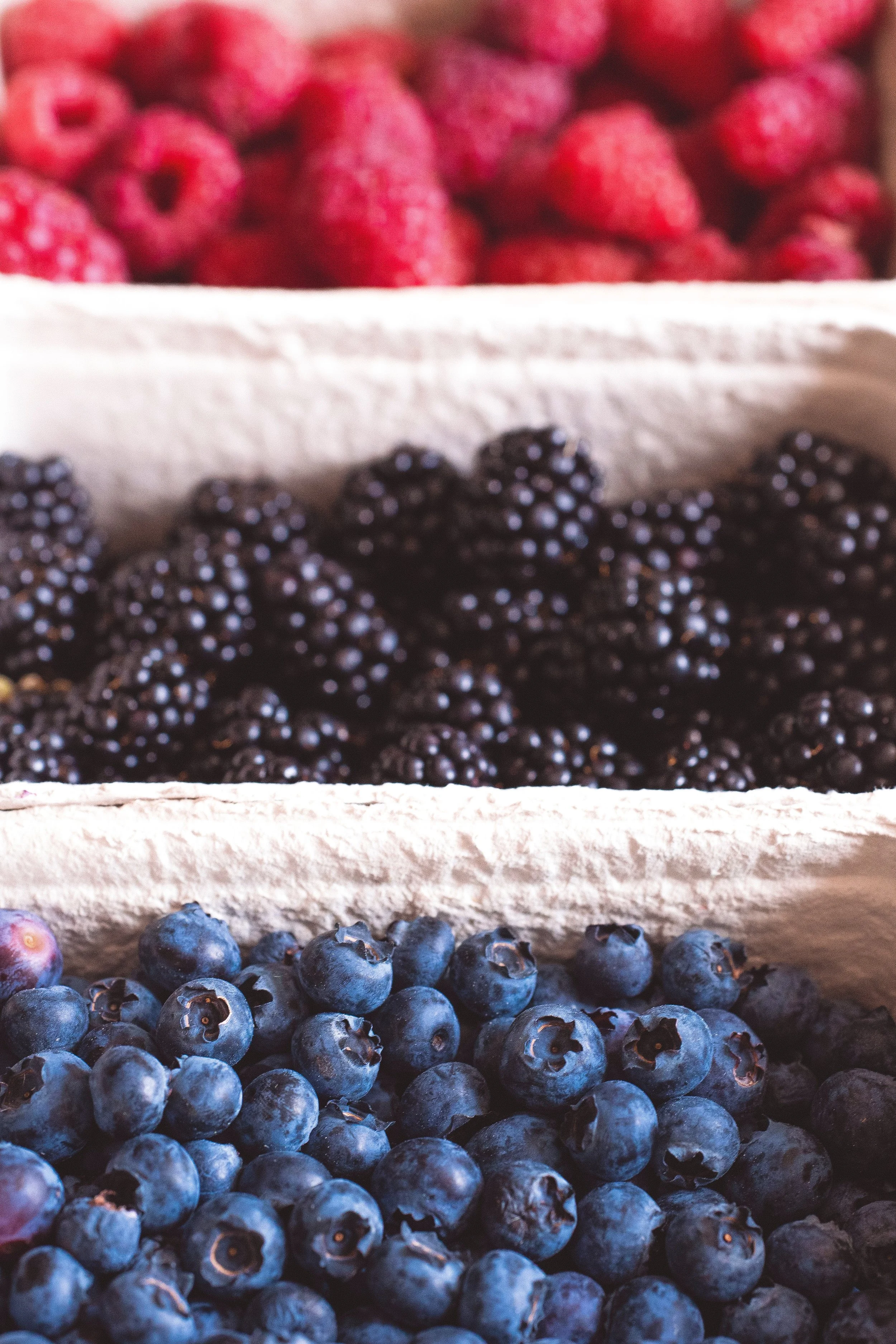 5 Reasons Visiting A Farmer's Market Can Help you Lose Weight