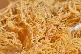 What is Seamoss? Health Benefits, Hypothyroidism, and How to Eat it | Dietitian Review