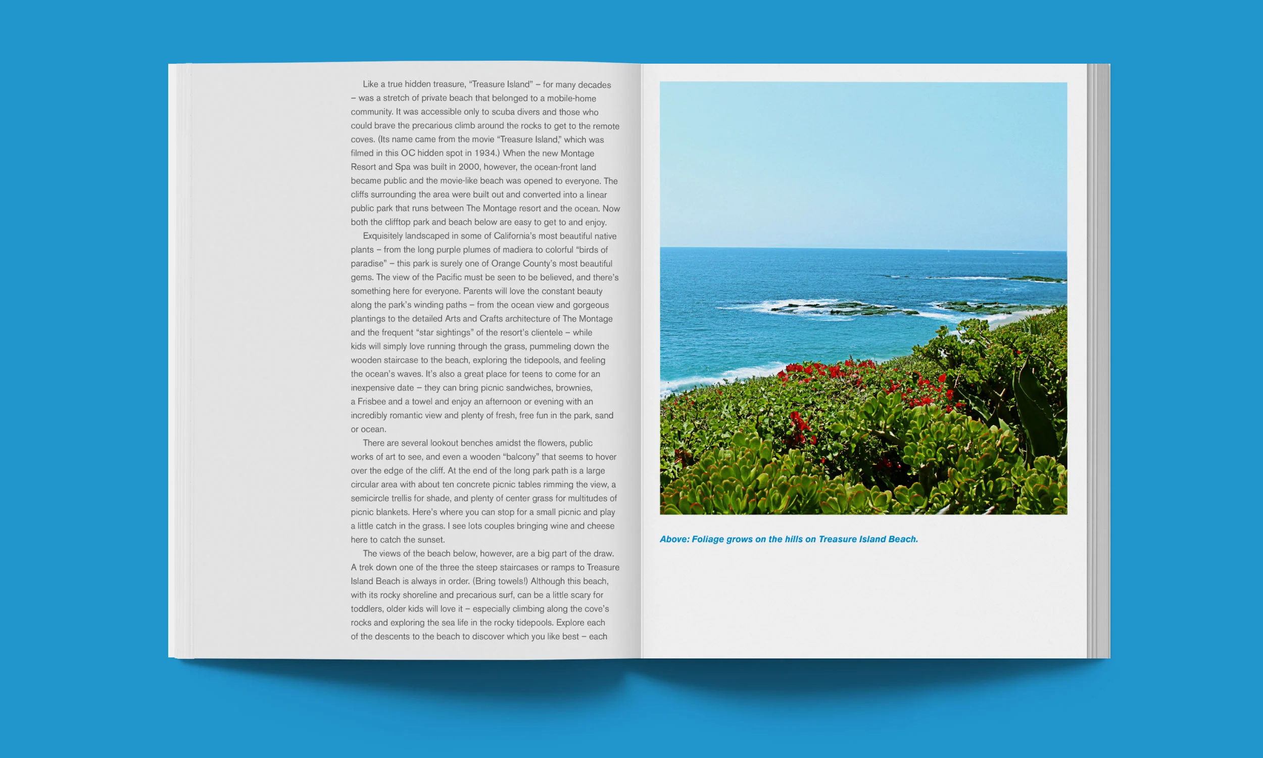 Laguna-Beach-Spread_Page_2.jpg