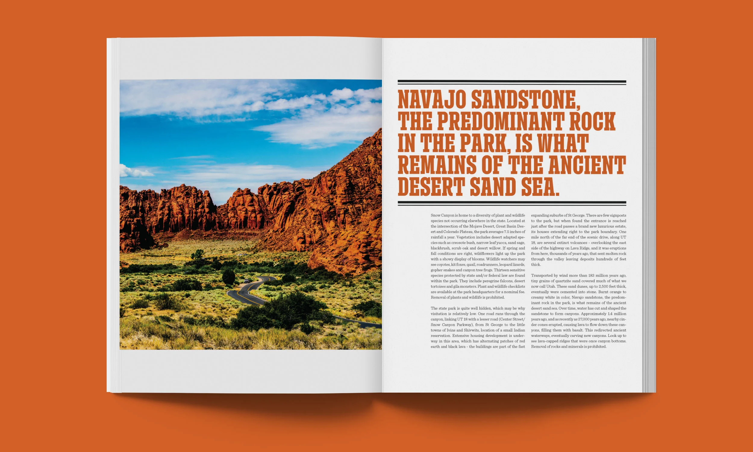Southwest-Utah-Page_3.jpg