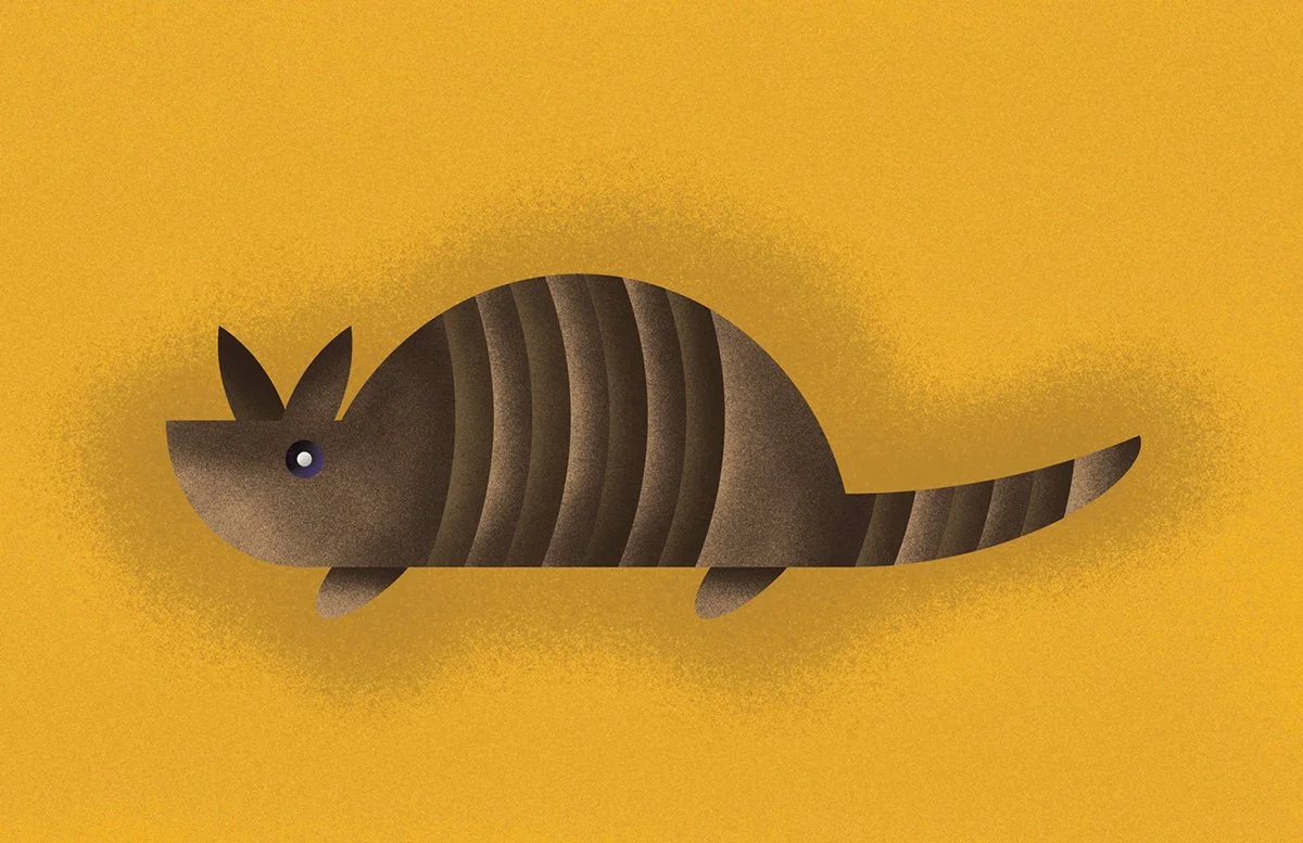 Armadillo-Illustration.jpg