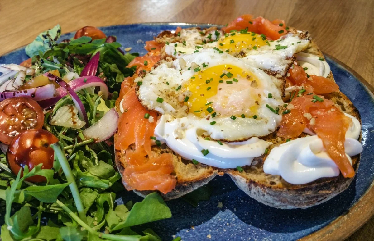 sandwich_salmon_fried_egg_eggs_salad_meal_menu_eating-545610.jpg